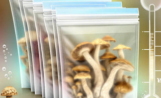 Why Mylar Bags are Essential for Shroom Storage - Importance of Moisture Control