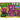 Kandy Depo Monsterz Mylar Bag 3.5 Grams
